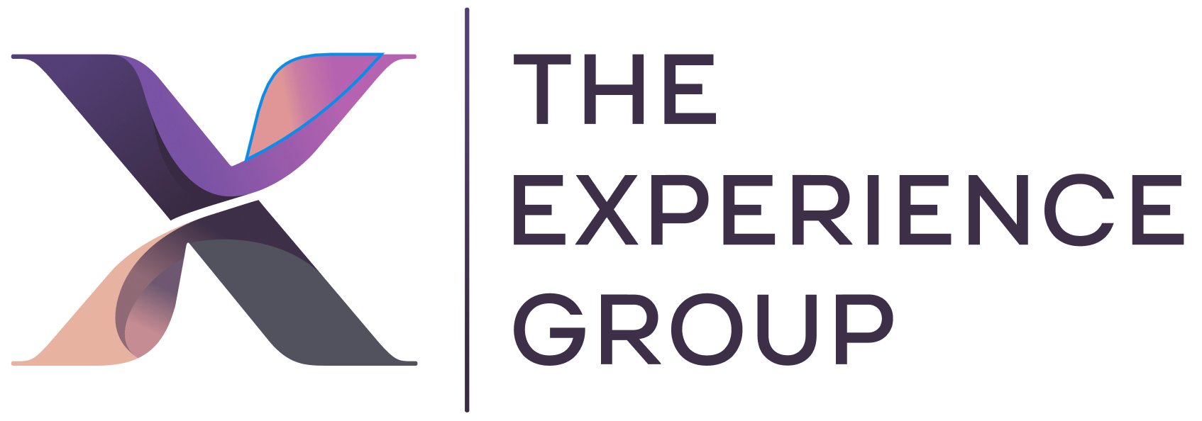 The experience group